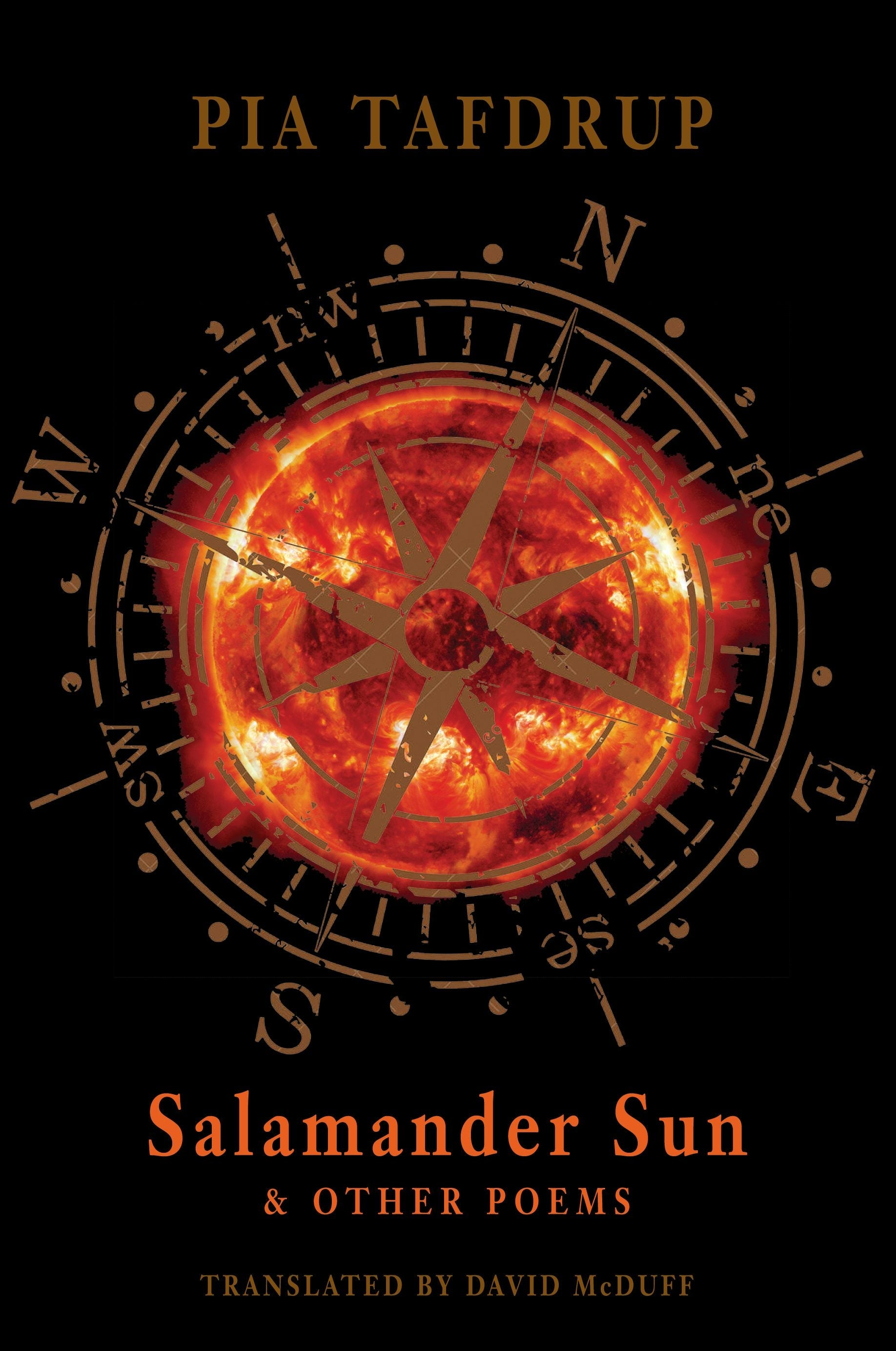Book cover image for Salamander Sun and other poems ISBN: 9781780371504